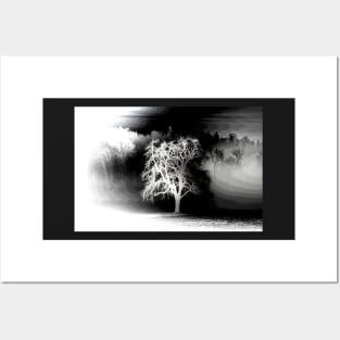 Tree negative art / Swiss Artwork Photography Posters and Art